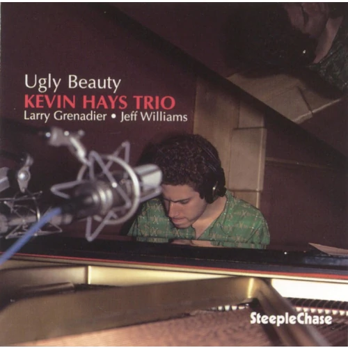 KEVIN HAYS / ケヴィン・ヘイズ / UGLY BEAUTY (LP)