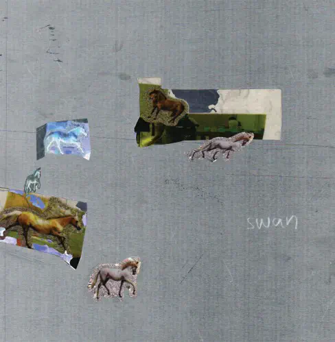 FAZED ON A PONY / SWAN (LP)