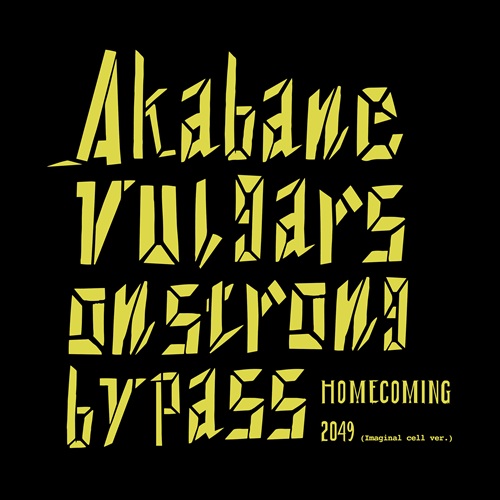 AKABANE VULGARS ON STRONG BYPASS / Homecoming（7インチ）