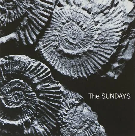 SUNDAYS / サンデイズ / READING, WRITING AND ARITHMETIC (LP)