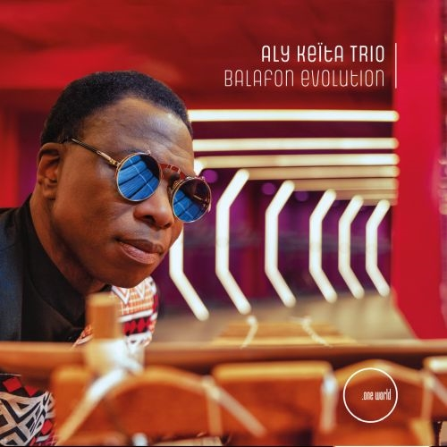 ALY KEITA / アリー・ケイタ / BALAFON EVOLUTION (LP)
