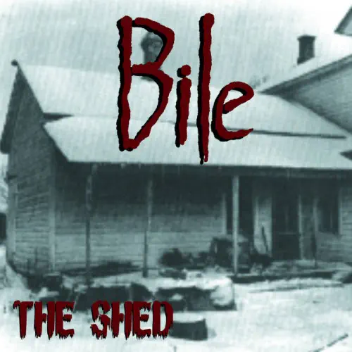 BILE / バイル / THE SHED (LP)