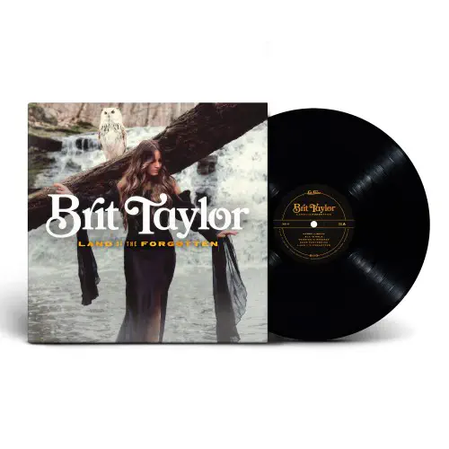 BRIT TAYLOR / LAND OF THE FORGOTTEN (LP)