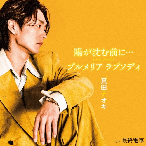 NAOKI SANADA / 真田ナオキ / 陽が沈む前に... / プルメリア ラプソディ(最終電車盤)
