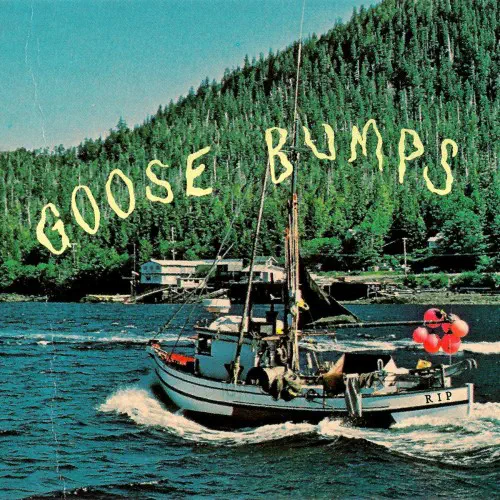 BOYSCOTT / ボーイスコット / GOOSE BUMPS (COLORED LP)