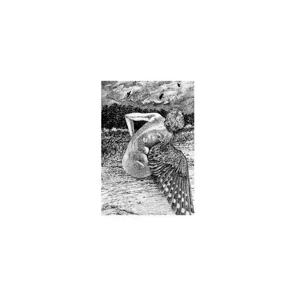 PATRICK LYSAGHT / FOR THE BIRDS [LP]
