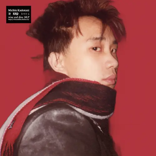 Michio Kadotani / 角谷美知夫 / 87 KAD 3:4:5:6（LP）