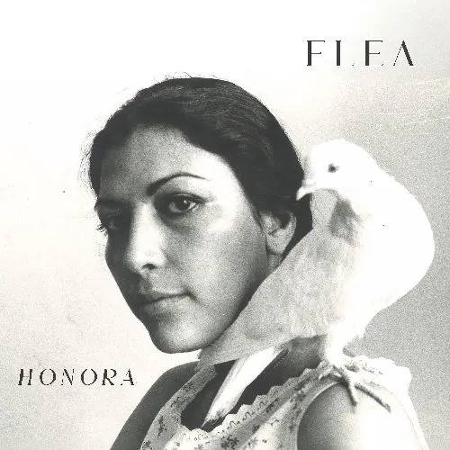 FLEA (RED HOT CHILI PEPPERS) / フリー / オノラ / HONORA