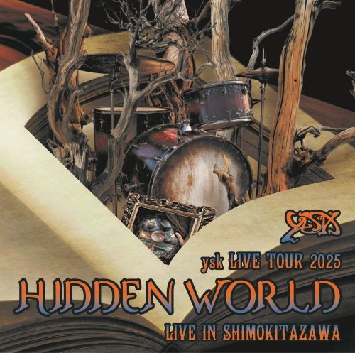 YUSUKE ANDO / 安東祐介 / YSK LIVE TOUR 2025 HIDDEN WORLD LIVE IN SHIMOKITAZAWA