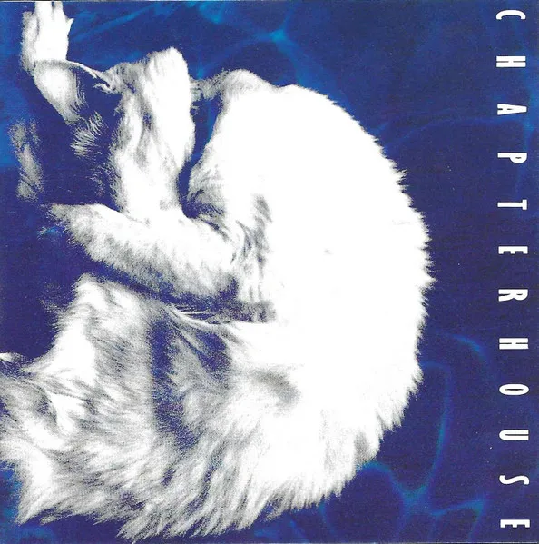 CHAPTERHOUSE / チャプターハウス / WHIRLPOOL (WHITE & BLACK MARBLED VINYL)
