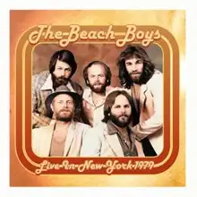 BEACH BOYS / ビーチ・ボーイズ / LIVE IN NEW YORK 1979 (CD)