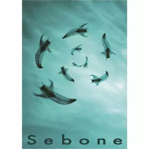 とた / Sebone -脊髄盤+脊椎盤-
