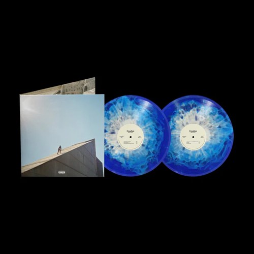 DANIEL CAESAR / ダニエル・シーザー / FREUDIAN (2LP) (REPRESS) (BLUE SHORE)