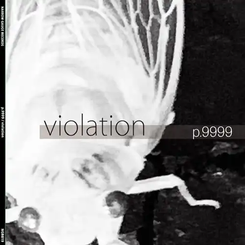 p.9999 / violation