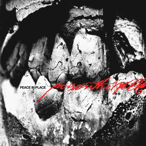 POISON THE WELL / ポイズン・ザ・ウェル / PEACE IN PLACE