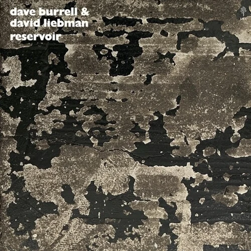 DAVE BURRELL & DAVE LIEBMAN / デイヴ・バレル & デイヴ・リーヴマン / RESERVOIR (LP)