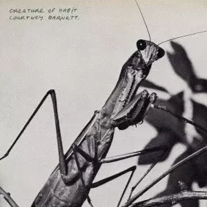 COURTNEY BARNETT / コートニー・バーネット / CREATURE OF HABIT / クリーチャー･オブ･ハビット（SHM-CD）