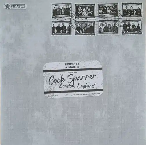 V.A. / WHAT'S IT LIKE TO BE 50: PIRATES PRESS RECORDS CELEBRATES 50 YEARS OF COCK SPARRER (LP)