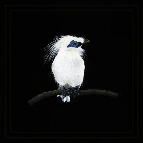 BLUNDETTO / ブルンデット / COUSIN ZAKA VOL. 3
