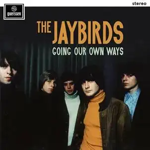 JAYBIRDS / GOING OUR OWN WAYS (LP)