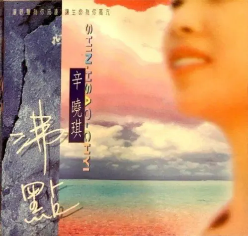 WINNIEHSIN / ウィニー・シン(辛曉琪) / 沸點