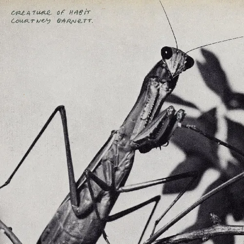 COURTNEY BARNETT / コートニー・バーネット / CREATURE OF HABIT (LP)
