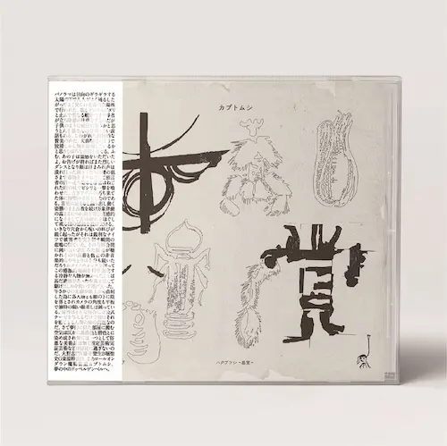 カブトムシ / ハクブツシ｢感覚｣ / hakubutushi-kankaku-