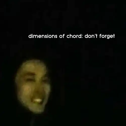 DIMENSIONS OF CHORD / don't forget（7"）