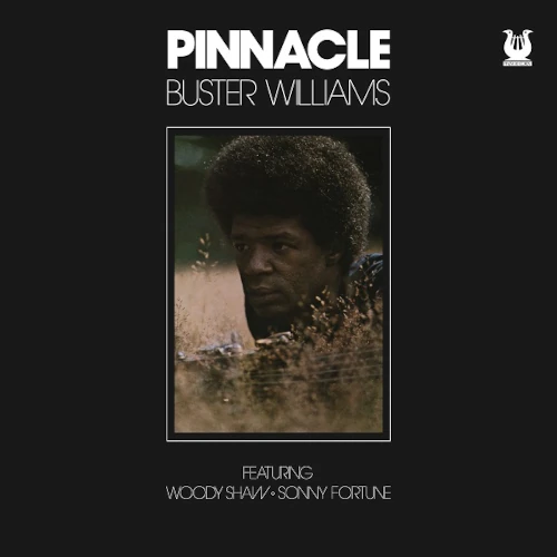 BUSTER WILLIAMS / バスター・ウィリアムズ / PINNACLE (RSD2026) / PINNACLE