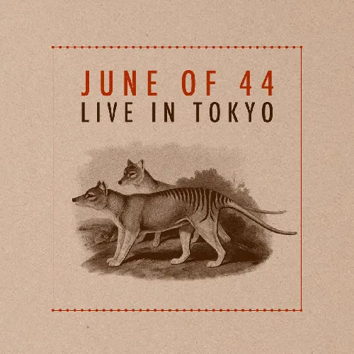 JUNE OF 44 / LIVE IN TOKYO