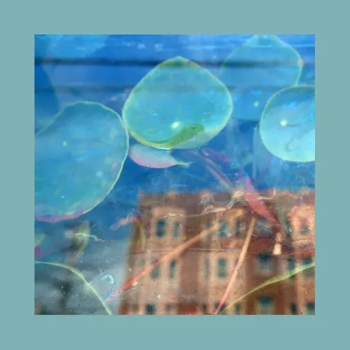 REDS, PINKS AND PURPLES / ACKNOWLEDGE KINDNESS (LP)