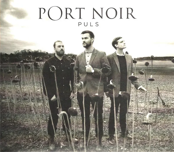 PORT NOIR / PULS