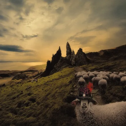 FRANCK CARDUCCI / SHEEPLE