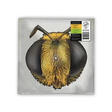 KING GIZZARD AND THE LIZARD WIZARD / キング・ギザード&ザ・リザード・ウィザード / BIG FIG WASP (BEE/BUG SHAPED VINYL)