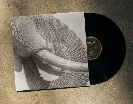 WHITE ELEPHANT (SOUL) / ホワイト・エレファント (SOUL) / ワールド･エレファント･デイ / WORD ELEPHANT DAY