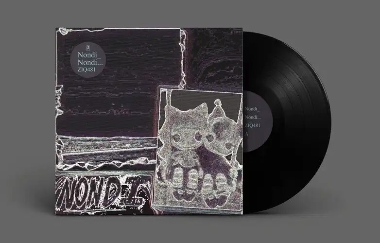 NONDI_ / ノンディ / NONDI (LP)
