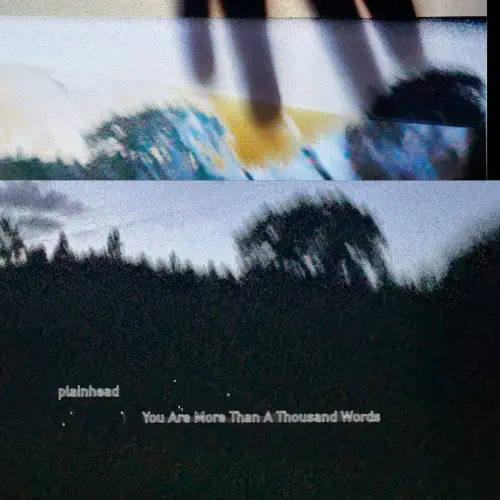 PLAINHEAD / YOU ARE MORE THAN A THOUSAND WORDS (LP)