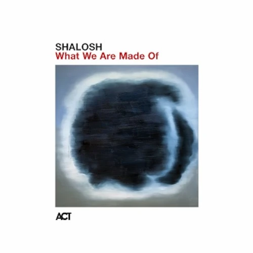 SHALOSH / シャローシュ / WHAT WE ARE MADE OF (LP)