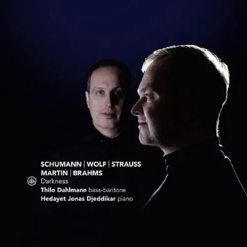 THILO DAHLMANN / ティロ・ダールマン / SCHUMANN/WOLF/R.STRAUSS:DARKNESS / DARKNESS