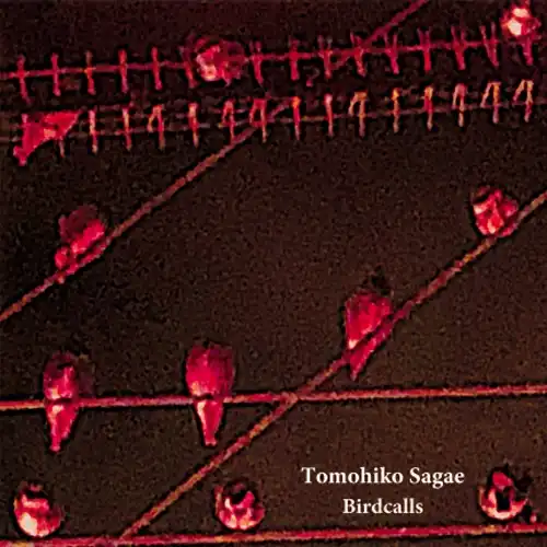 TOMOHIKO SAGAE / BIRDCALLS