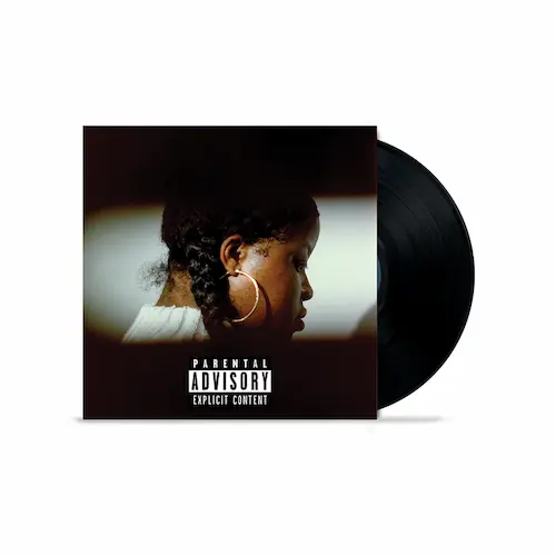 CHE NOIR & THE OTHER GUYS / NO VALIDATION (LP)