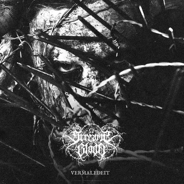STREAMS OF BLOOD / VERMALEDEIT