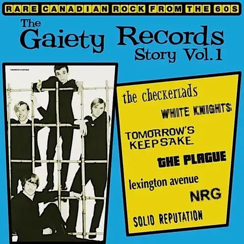 V.A. (GARAGE) / THE GAIETY RECORDS STORY: VOL.1 (LP)