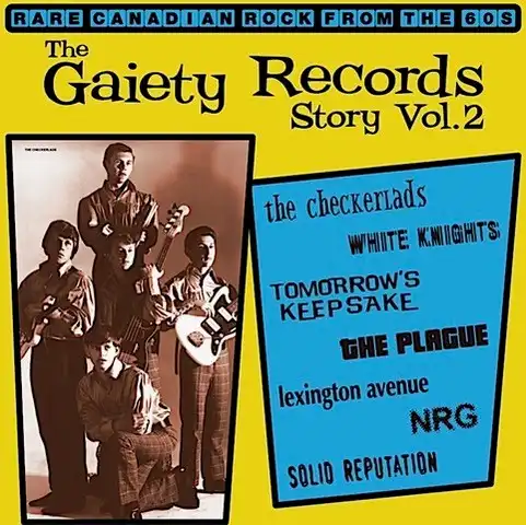 V.A. (GARAGE) / THE GAIETY RECORDS STORY: VOL.2 (LP)