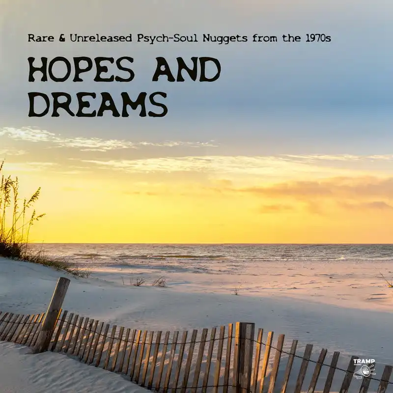 V.A. (PSYCHE) / HOPES AND DREAMS - RARE & UNRELEASED PSYCH-SOUL NUGGETS FROM THE 1970S (CD)