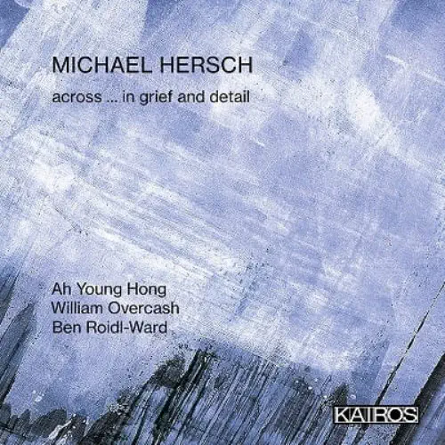 AH YOUNG HONG / ア・ヨン・ホン / MICHAEL HERSCH:ACROSS ... IN GRIEF AND DETAIL / M.HERSCH:ACROSS IN GRIEF AND DETAIL