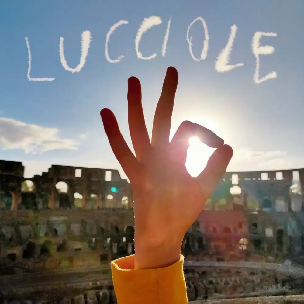 SILVIA TAROZZI / LUCCIOLE [2XLP - BLACK]
