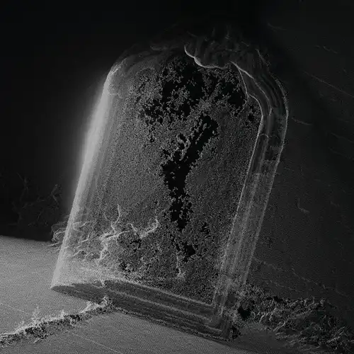 VISIBLE CLOAKS / ビジブル・クロークス / PARADESSENCE [LP - SILVER]