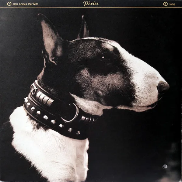 PIXIES / ピクシーズ / HERE COMES YOUR MAN