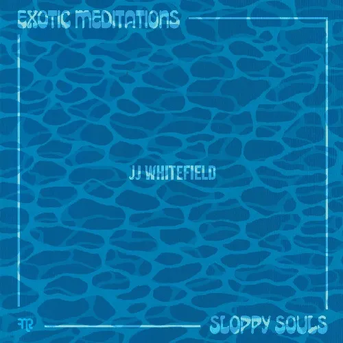 JJ WHITEFIELD / JJ・ウィットフィールド / EXOTIC MEDITATIONS / SLOPPY SOULS